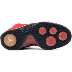 Air Jordan 21 Retro Phoenix