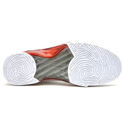 Air Jordan 23 Retro Phoenix