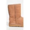 UGG Classic Short II 1016223 | Design Épuré